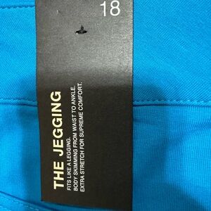 Lane Bryant Blue Jeggings